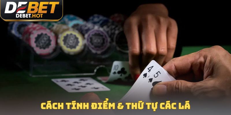 Cách tính điểm & thứ tự các lá